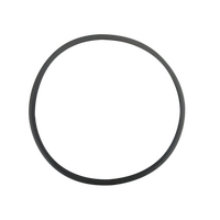 4055614954 Door Seal  Electrolux Dryer