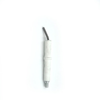 90187790 Flame Rod Rinnai Heater
